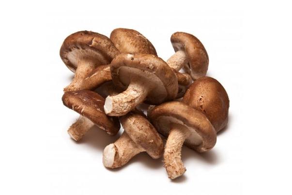 香菇的害处(女性吃香菇的害处)