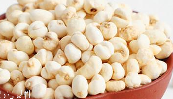 川贝母的营养价值(川贝母的营养价值) 川贝母的营养价值(川贝母的营养价值)