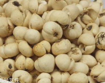 川贝母的药用价值(川贝母的药用价值) 川贝母的药用价值(川贝母的药用价值)