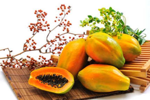 木瓜有几种品种(木瓜有几种品种图片)