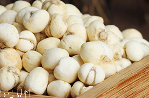 川贝母的繁殖方法(川贝母怎么种)