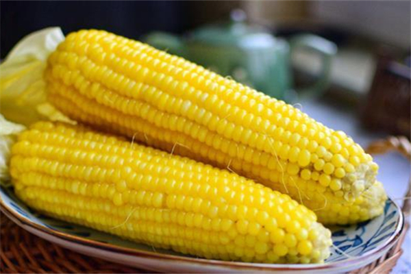 煮玉米什么时候放盐比较好(煮玉米什么时候放盐比较好)