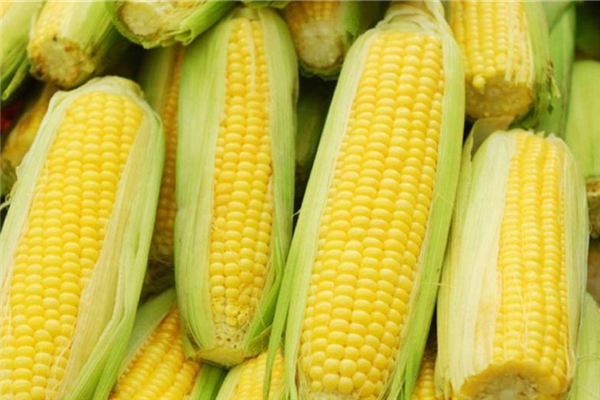 玉米煮的时候要剥皮吗(玉米煮的时候要剥皮吗)