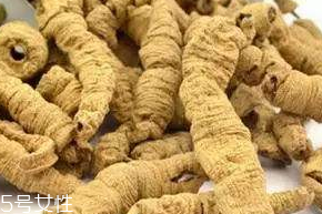 巴戟天能快递吗(巴戟天哪里有卖的)