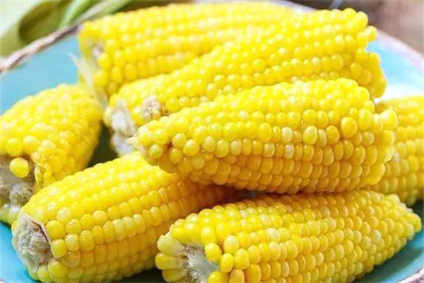 玉米适合做主食吗(玉米适合做主食吗)