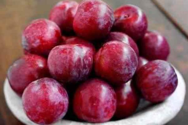 吃李子会拉肚子吗?(吃李子会拉肚子吗) 吃李子会拉肚子吗?(吃李子会拉肚子吗)