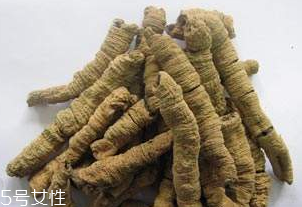 巴戟天和菟丝子(巴戟天和菟丝子泡水喝有什么效果)