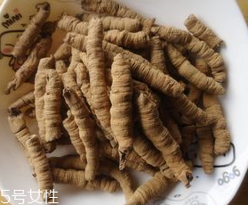 巴戟天的食用禁忌(巴戟天的功效和禁忌)