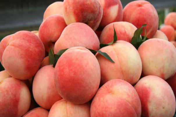 水蜜桃要洗吗(水蜜桃要洗吗)