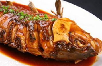 鲅鱼的生长习性(鲅鱼生长在什么地方)