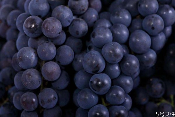 葡萄减肥应该怎么吃(葡萄可以减肥吃吗)