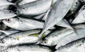 鲅鱼的制作技巧(鲅鱼的制作方法) 鲅鱼的制作技巧(鲅鱼的制作方法)