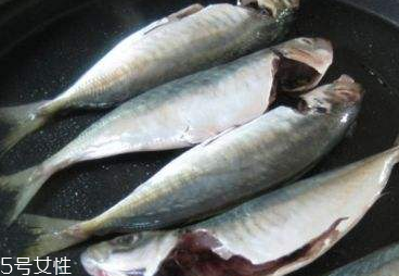 炖鲅鱼的做法(炖鲅鱼的做法 最正宗的做法)