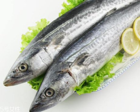 鲅鱼的生长习性(鲅鱼生长在什么地方)