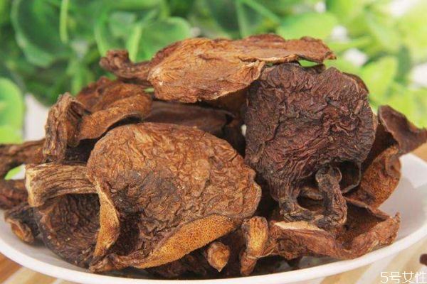 松蘑怎么种植(松蘑怎么种植)