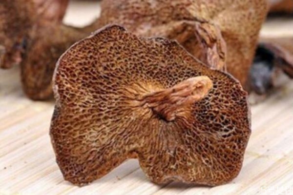 松蘑腿能吃吗(松蘑腿能吃吗)