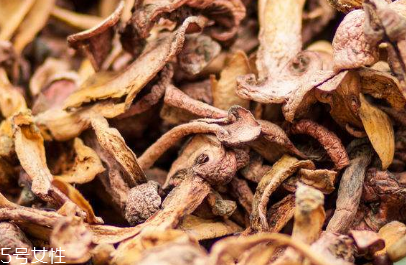 松蘑的热量(松蘑的热量)