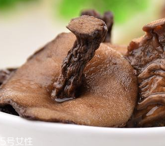 松蘑的适宜人群(松蘑的营养)