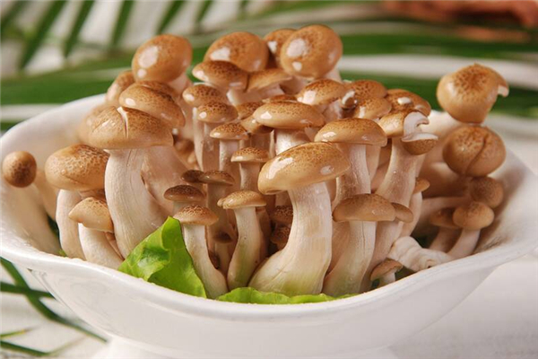 蟹味菇为什么要焯水(蟹味菇为什么要焯水几分钟) 蟹味菇为什么要焯水(蟹味菇为什么要焯水几分钟)