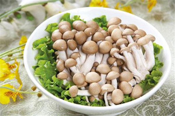 蟹味菇减肥吃法(蟹味菇减肥吃法)