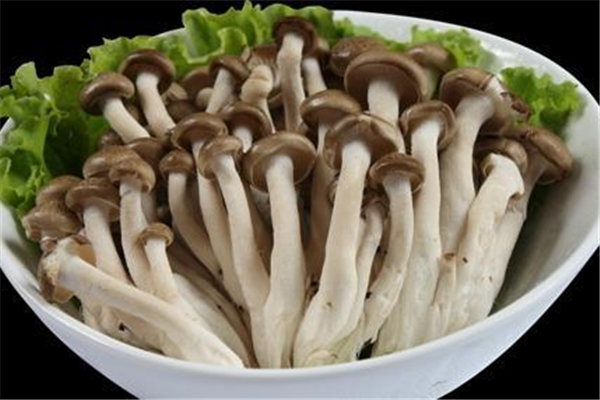 蟹味菇有什么营养和功效(蟹味菇有什么营养和功效)