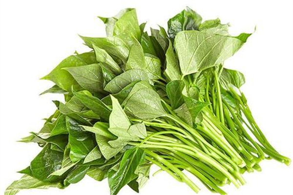红薯叶可以生吃吗(红薯叶可以生吃吗?)