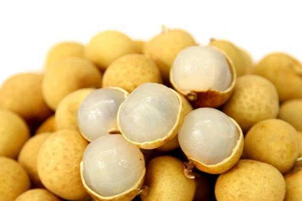 龙眼泡水的正确方法(新鲜龙眼泡水的正确方法)