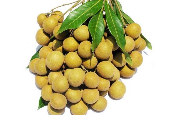 龙眼会过敏吗?(龙眼会过敏吗?) 龙眼会过敏吗?(龙眼会过敏吗?)