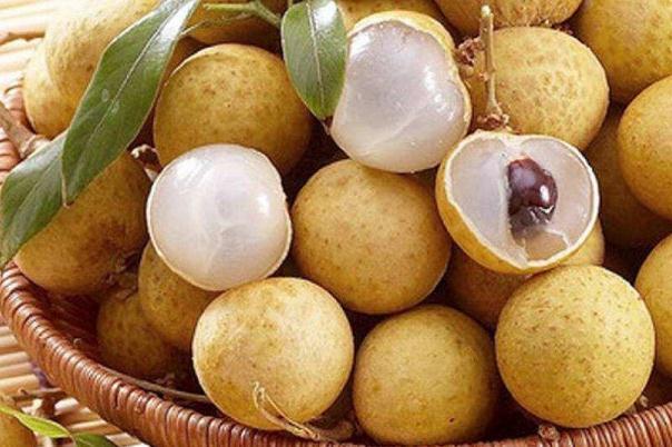 龙眼和桂圆的区别(龙眼和桂圆的区别图片)