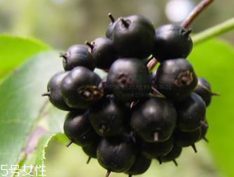 皮肤过敏需要注意什么(皮肤过敏要注意些什么)