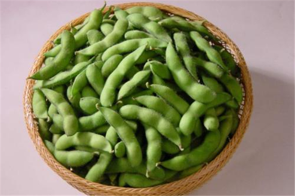 毛豆有几种吃法(毛豆有几种吃法) 毛豆有几种吃法(毛豆有几种吃法)