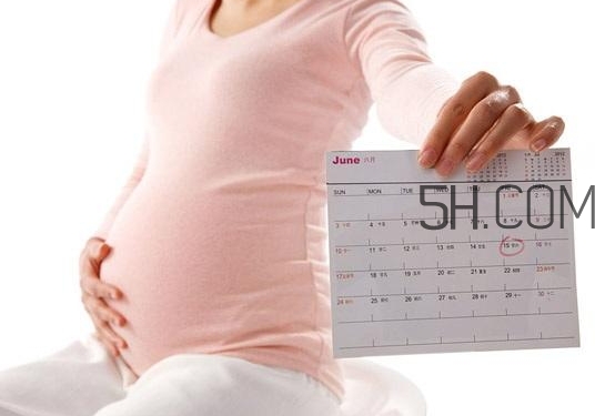 生育保险和男职工的关系(男职工的生育保险是什么)