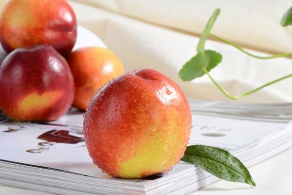 吃油桃会过敏吗(吃油桃会过敏吗) 吃油桃会过敏吗(吃油桃会过敏吗)