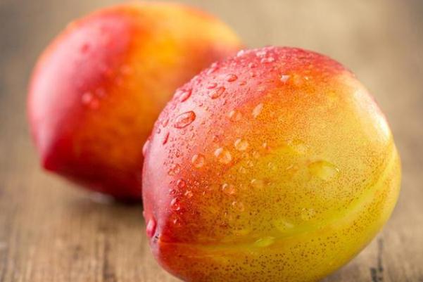 怀孕吃油桃的注意事项(孕初期可以吃油桃吗) 怀孕吃油桃的注意事项(孕初期可以吃油桃吗)