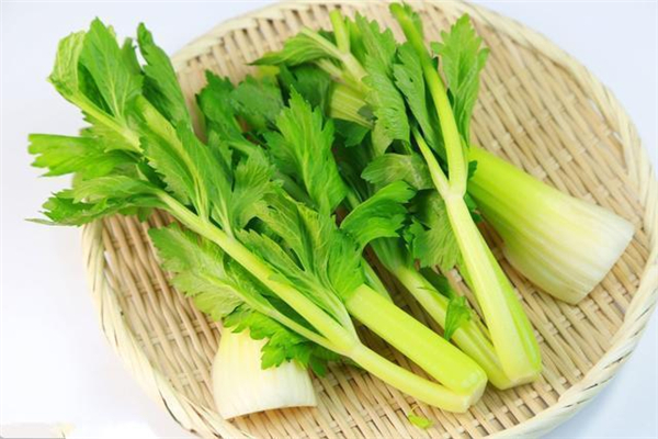 芹菜要焯水几分钟(芹菜炒肉芹菜要焯水几分钟) 芹菜要焯水几分钟(芹菜炒肉芹菜要焯水几分钟)