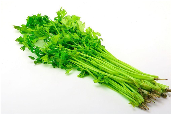 芹菜降压原理(芹菜降压原理)
