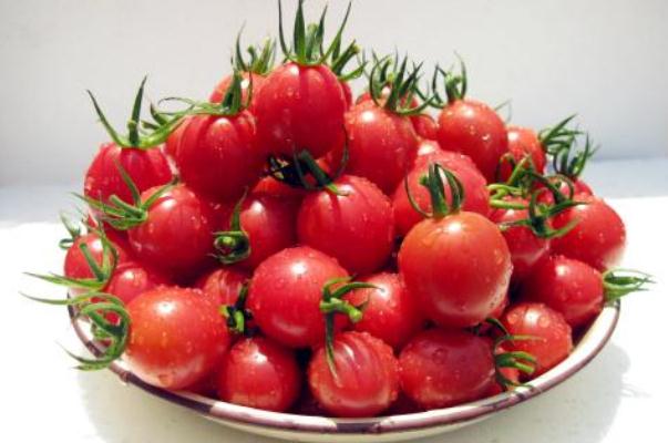 圣女果有什么坏处(圣女果有什么坏处)