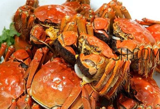 吃螃蟹会流产吗(怀孕能吃螃蟹吗?)