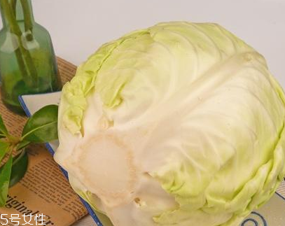 牛心菜的禁忌人群(什么人不能吃牛心菜)