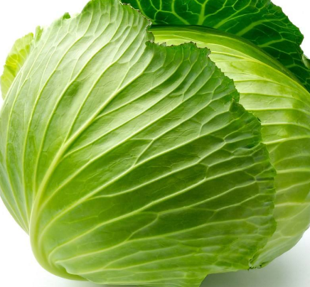 牛心菜的做法(牛心菜的做法大全)