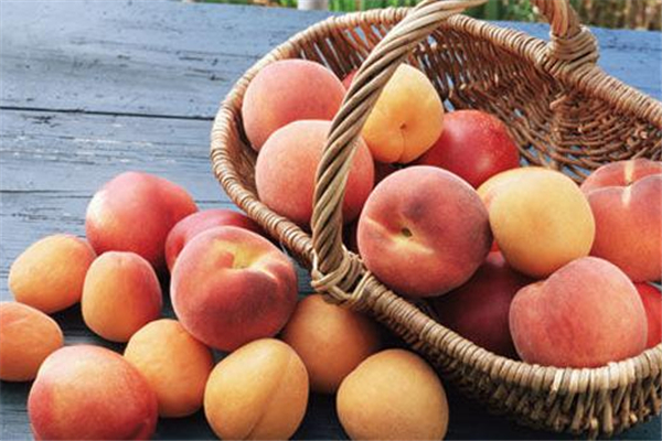 桃子是低糖还是高糖水果(桃子是低糖还是高糖水果) 桃子是低糖还是高糖水果(桃子是低糖还是高糖水果)