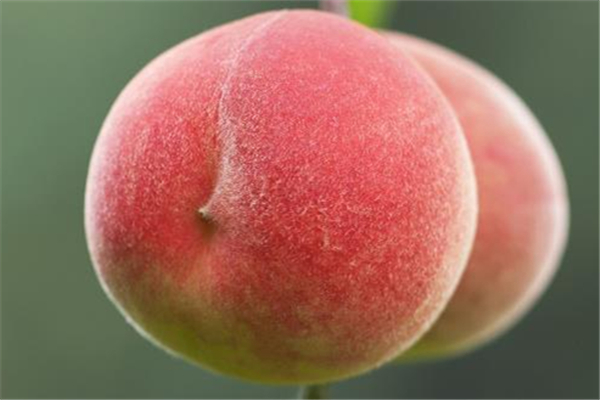 桃子怎么吃最方便(桃子怎么吃最方便)