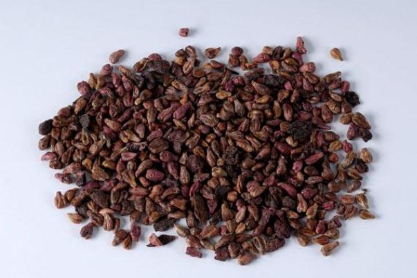 葡萄籽的副作用(葡萄籽的副作用 三大副作用不容忽视)