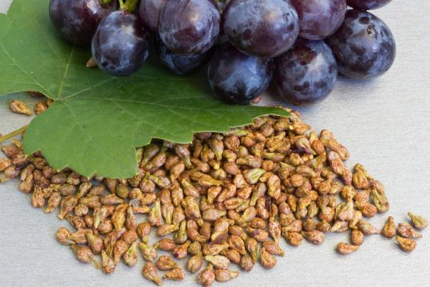 葡萄籽和胶原蛋白哪个好(葡萄籽和胶原蛋白哪个好)