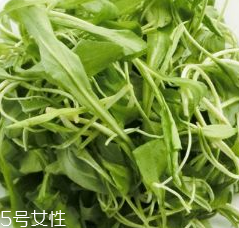 马兰头的的功效和作用(马兰头的功效和作用)