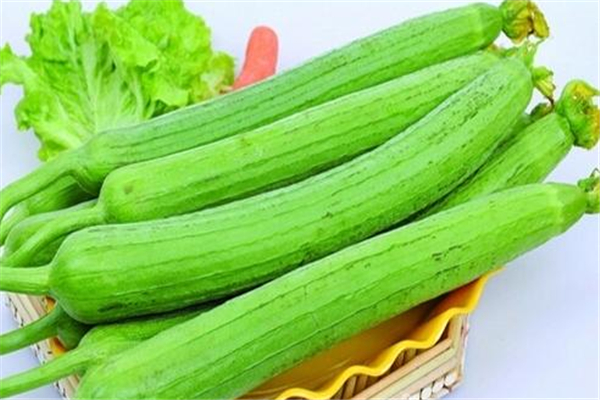 苦丝瓜可以吃吗(苦丝瓜可以吃吗)