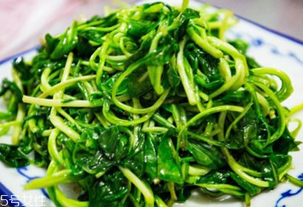 马兰头的种植(马兰头的种植时间和方法)