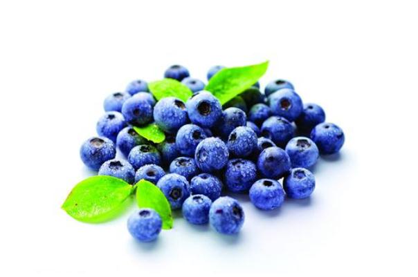 吃蓝莓有什么好处(吃蓝莓有什么好处?蓝莓的功效和作用)