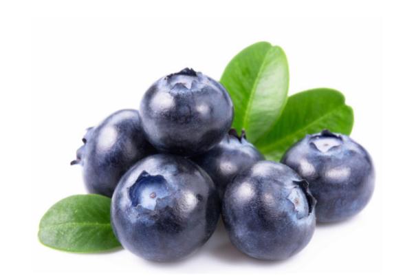 蓝莓的保存方法(蓝莓的保存方法及保存时间) 蓝莓的保存方法(蓝莓的保存方法及保存时间)