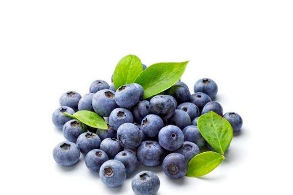 蓝莓一天吃多少为宜(蓝莓一天吃多少为宜可以吃一盒吗)